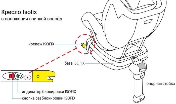 Профессиональное установление автокресла для малышей