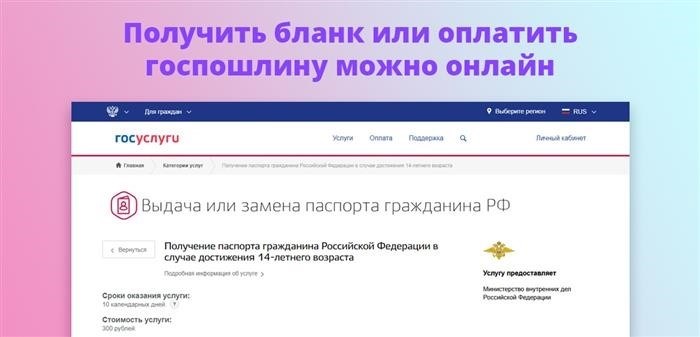 Возможно получить бланк или внести плату за государственную пошлину через интернет.