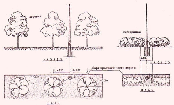 лэп активно занимается запуском посадки новых деревьев