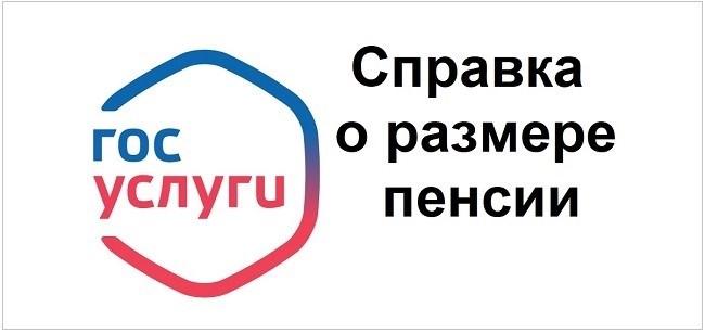 информация о сумме пенсионных выплат на портале государственных услуг