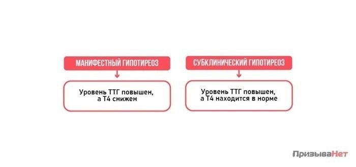 Гипотиреоз: нарушения и классификация