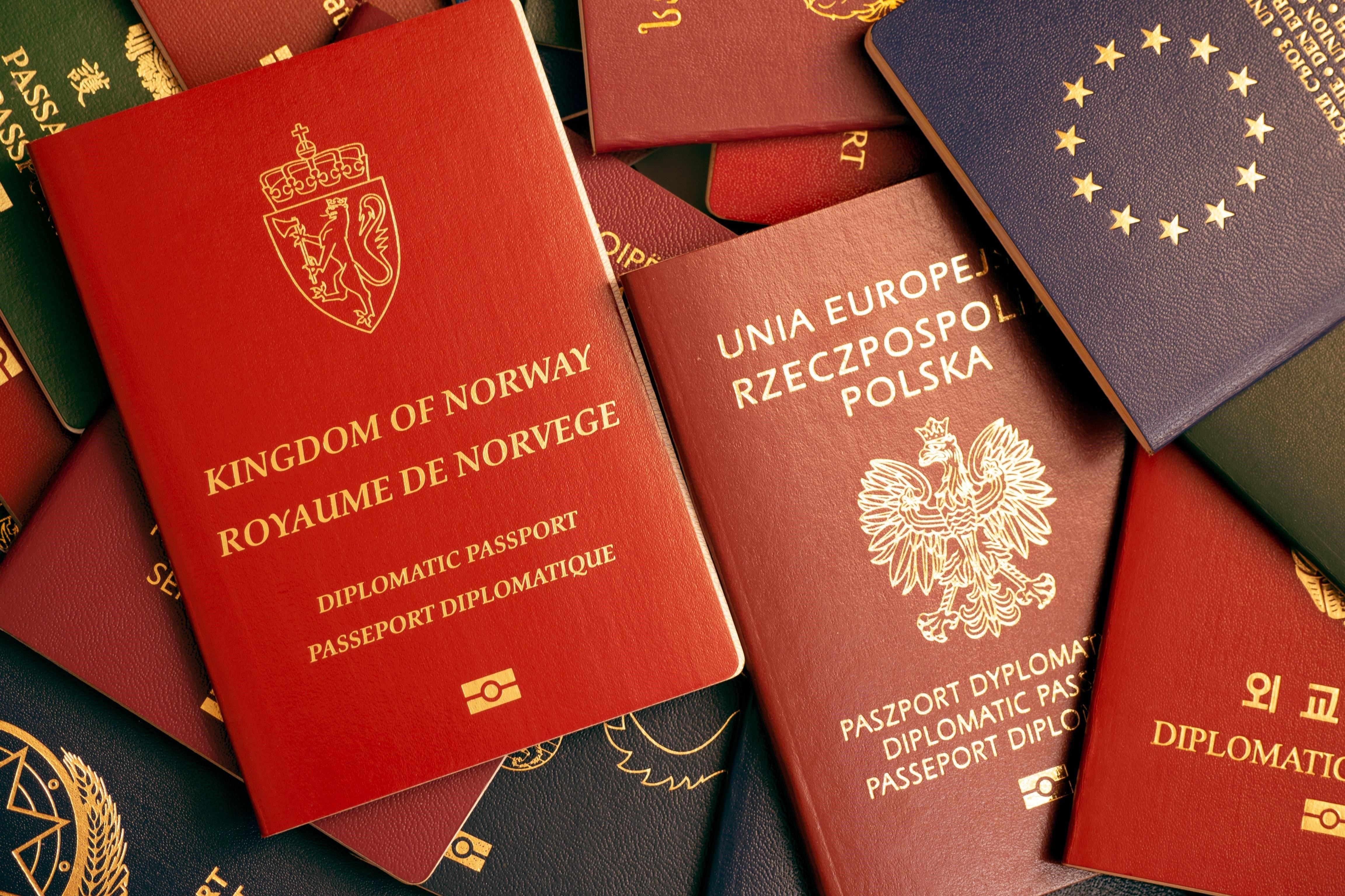 Документы, которые необходимо предоставить для подачи заявления на упрощенную натурализацию