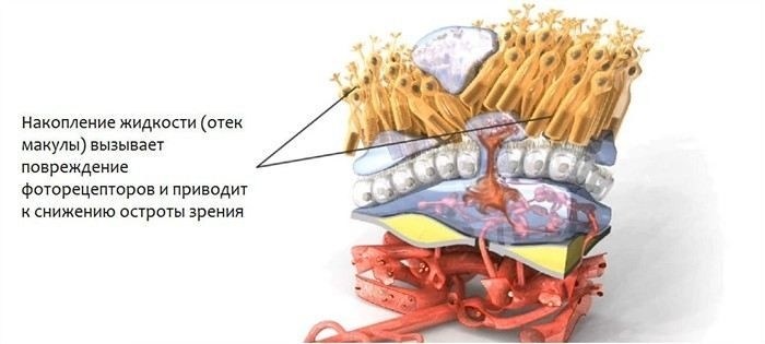 Подготовка организма: питание, лекарства и образ жизни за неделю до сеанса