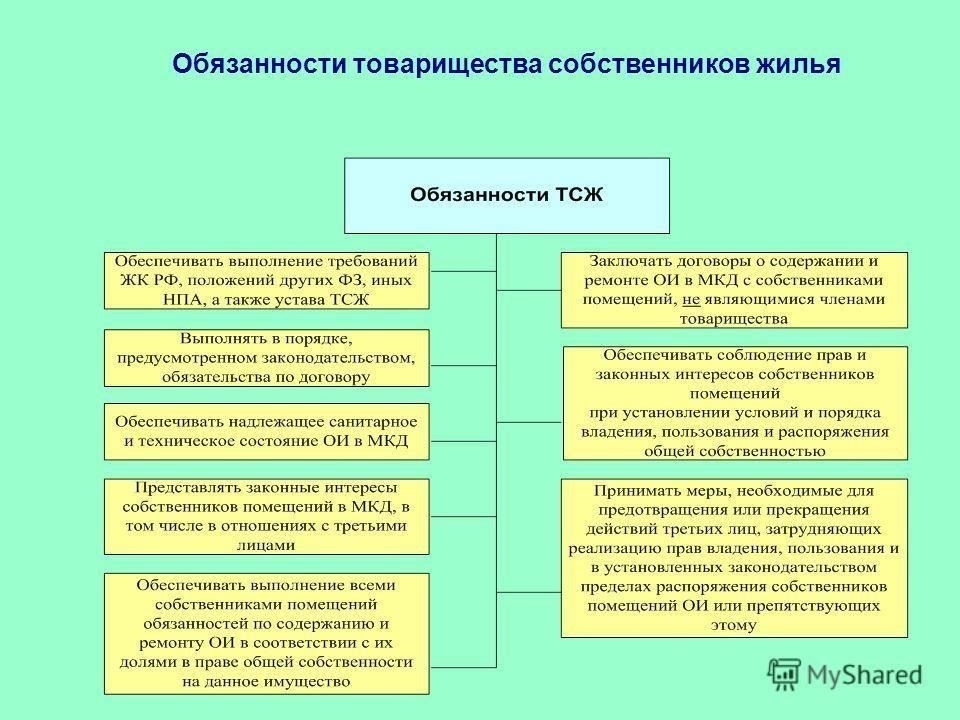 Юридические обязательства товариществ собственников жилья при заключении договоров с владельцами недвижимости