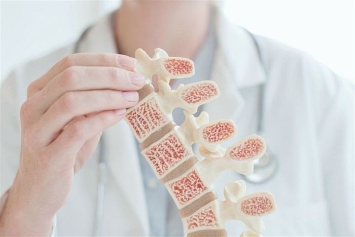 Летний период: пищевые инфекции, перегрев и контакты с насекомыми