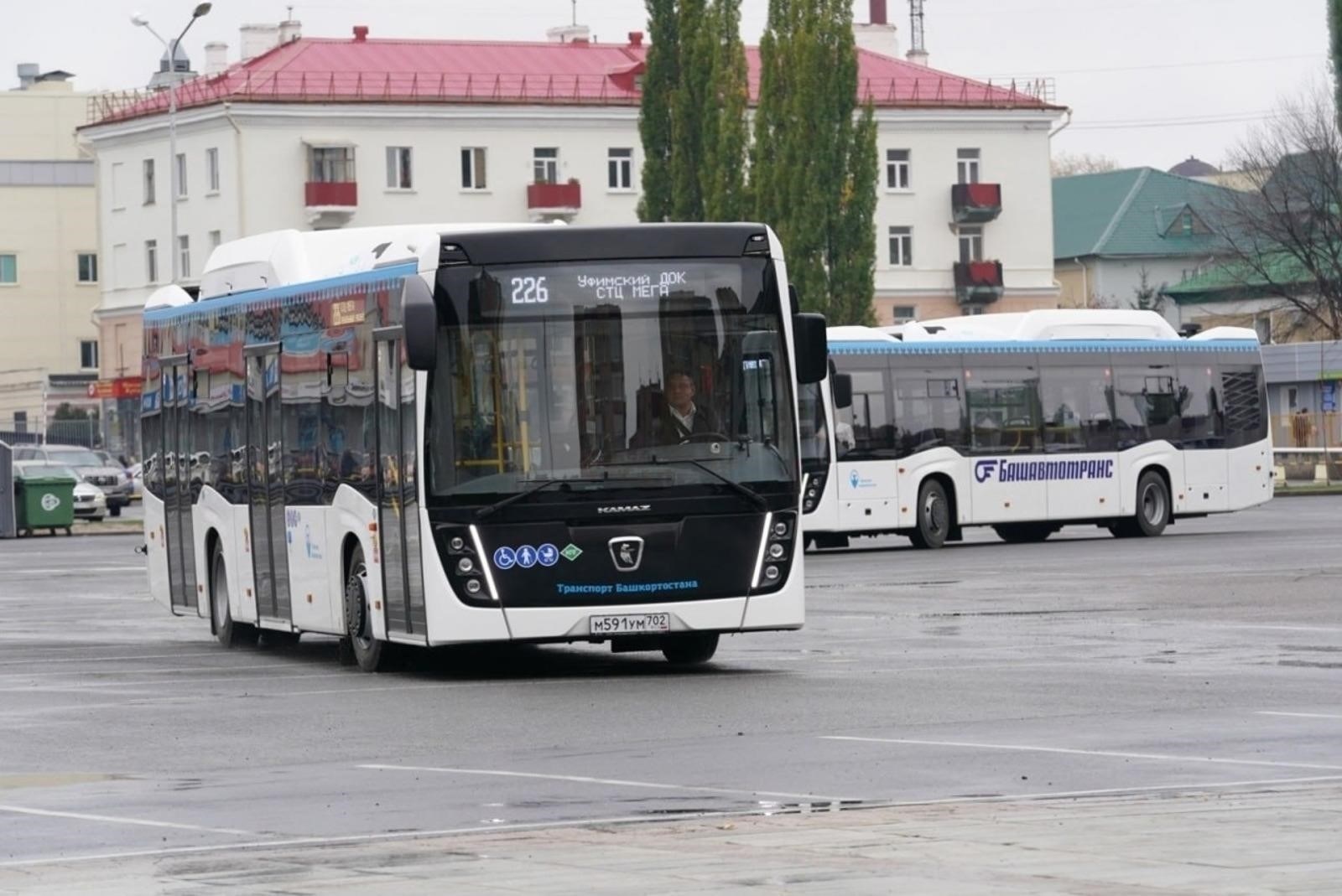 Обзор маршрута: От улицы Школьной до Пушкинского ТСК