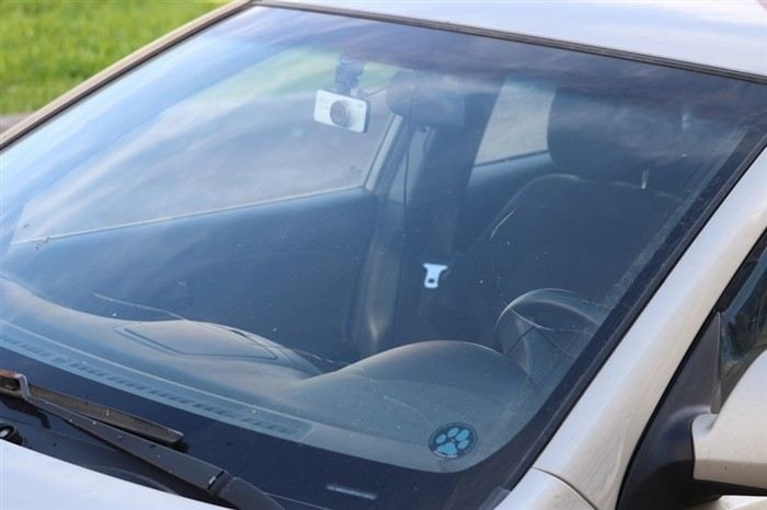 Опыт клиентов: Что говорят реальные отзывы о брокере AgS?