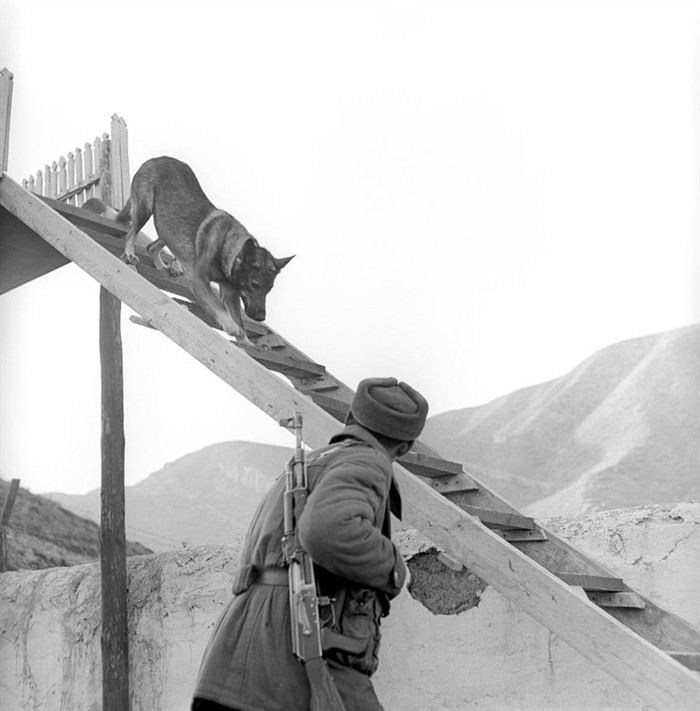 Преимущества и недостатки двухлетней службы в Советской армии