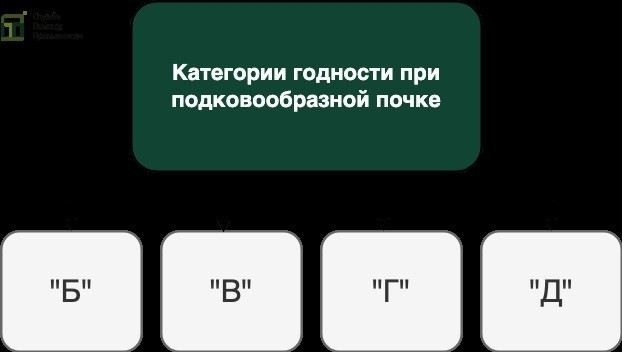 Порядок медицинской оценки врожденного сращения почек по Расписанию болезней