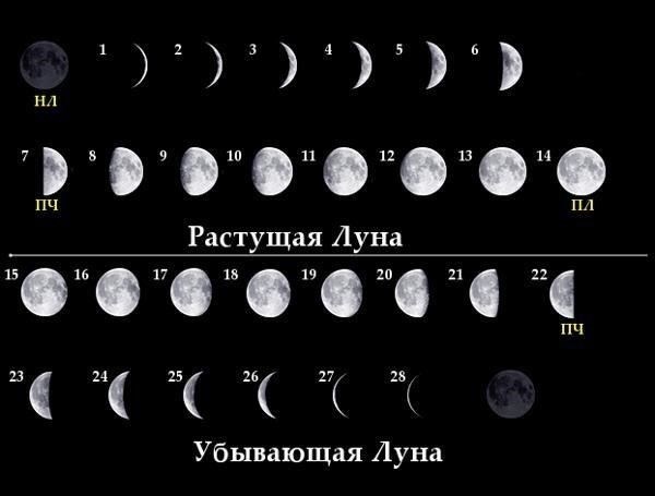 Понимание лунных фаз для успешного поиска работы