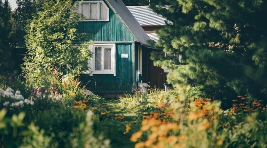 Распространенные подводные камни при покупке садового участка и как их избежать