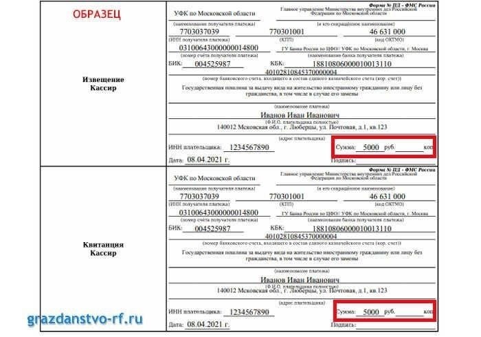 Сборы и госпошлина за продление лицензии: Что нужно оплатить через государственные услуги