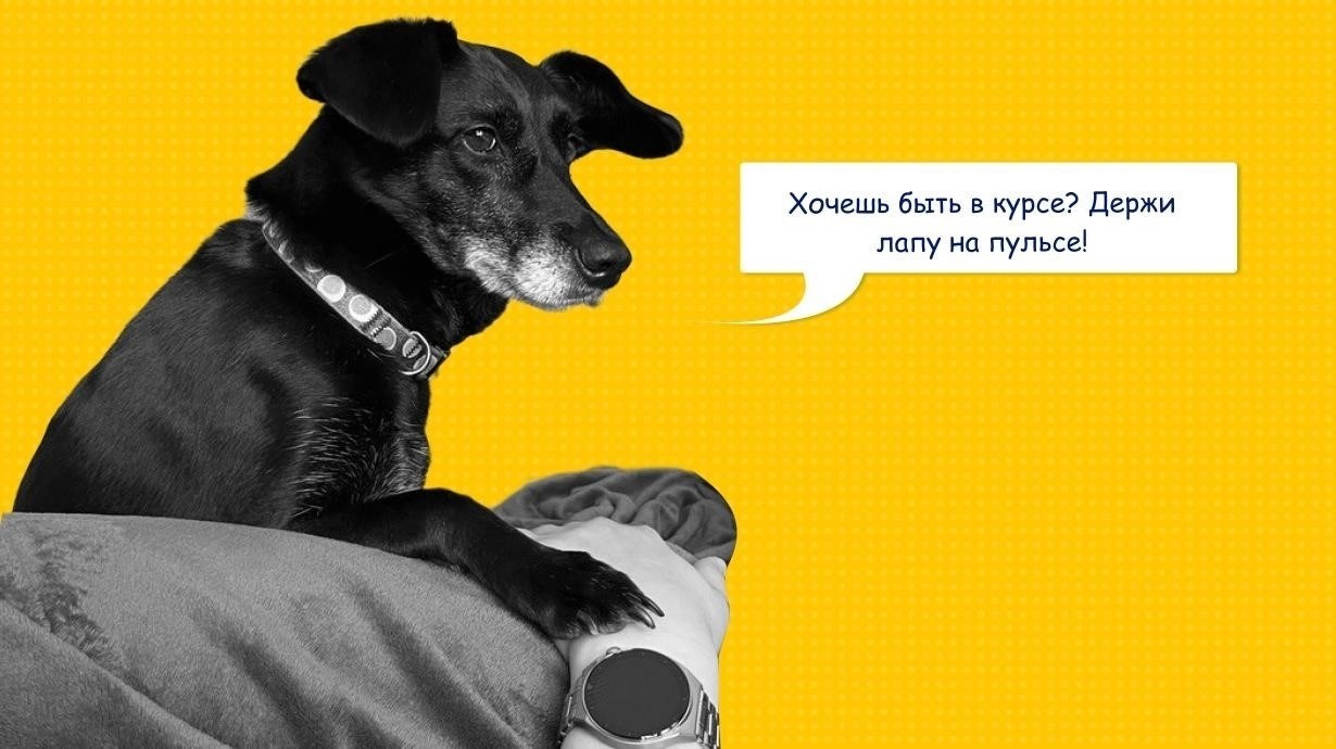Шаг 5: Отправьте запрос и отслеживайте его статус