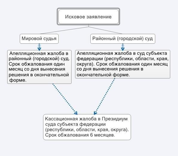 Сроки подачи апелляции в Верховный суд после решений судов низшей инстанции