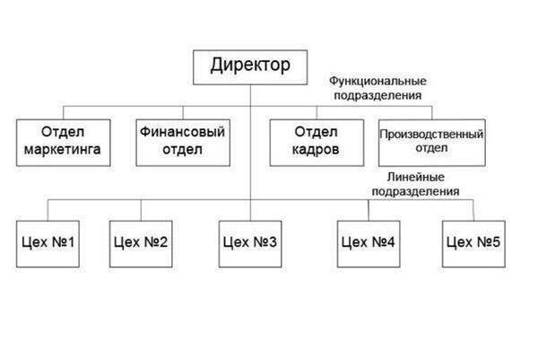 Структура формы