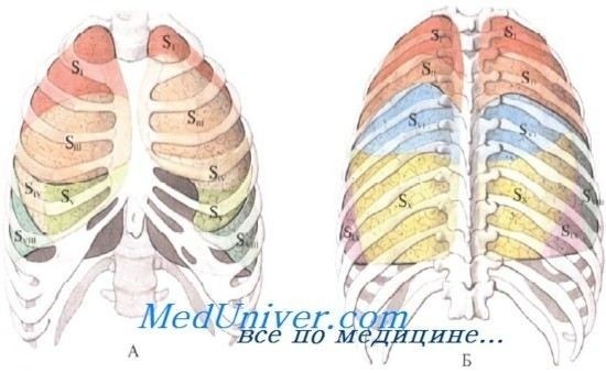 Методы и разновидности лобэктомии: какой подход выбрать?